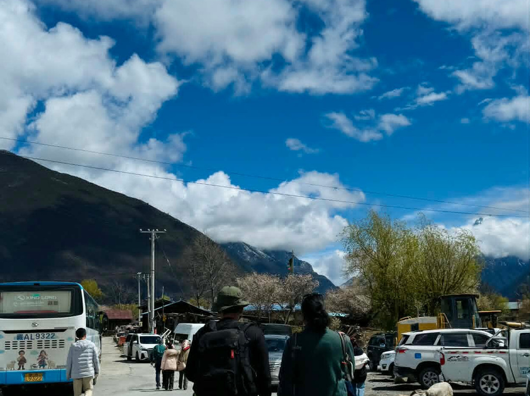 藏路旅游-拉萨市必去景点