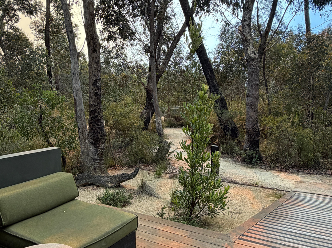 布莱克希斯木屋主图