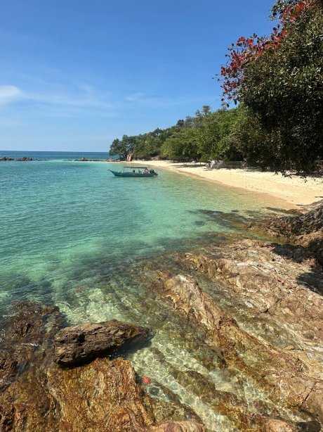 Kapas Turtle Valley-旅行者