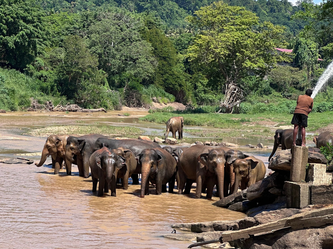 Riu Manga Tours-亚洪加拉必去景点