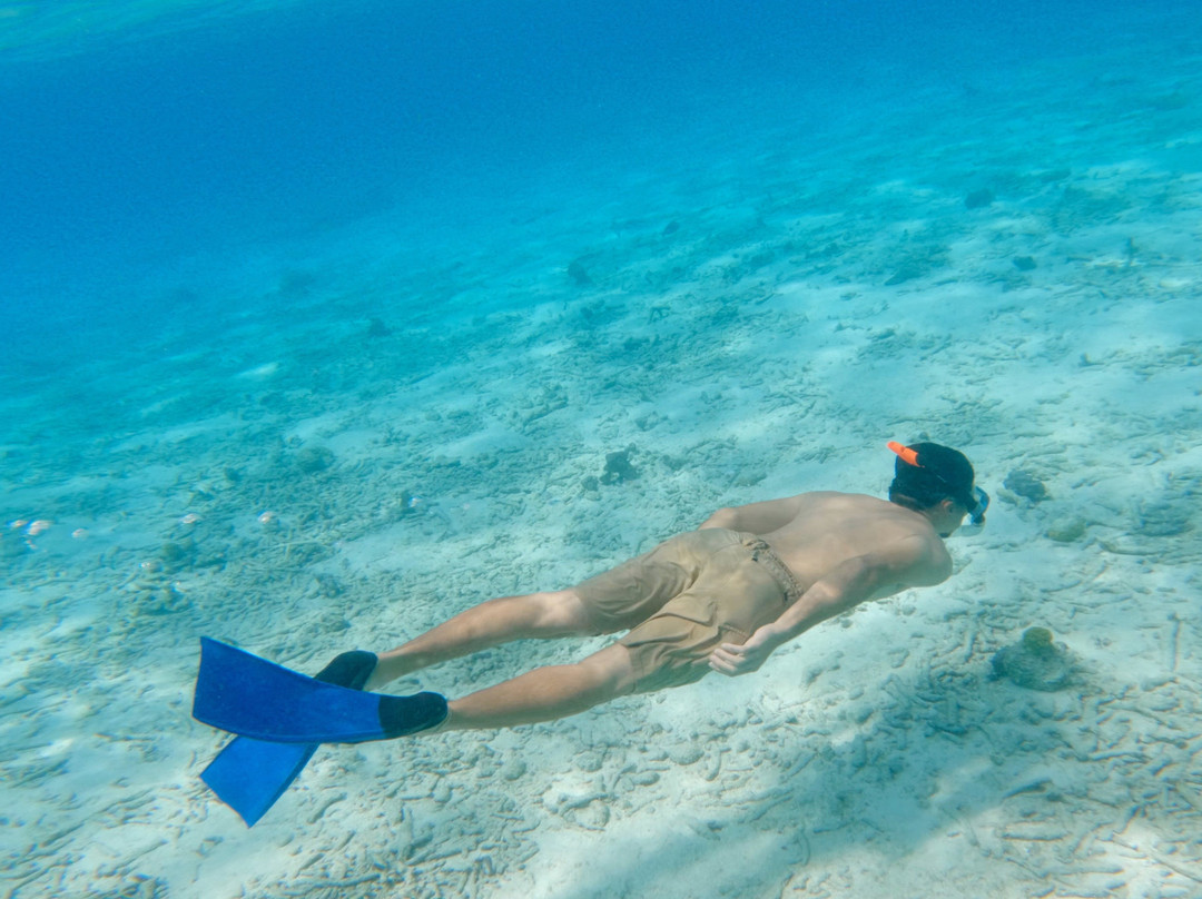Sea Bull Aruba Charters-Santa Cruz必去景点