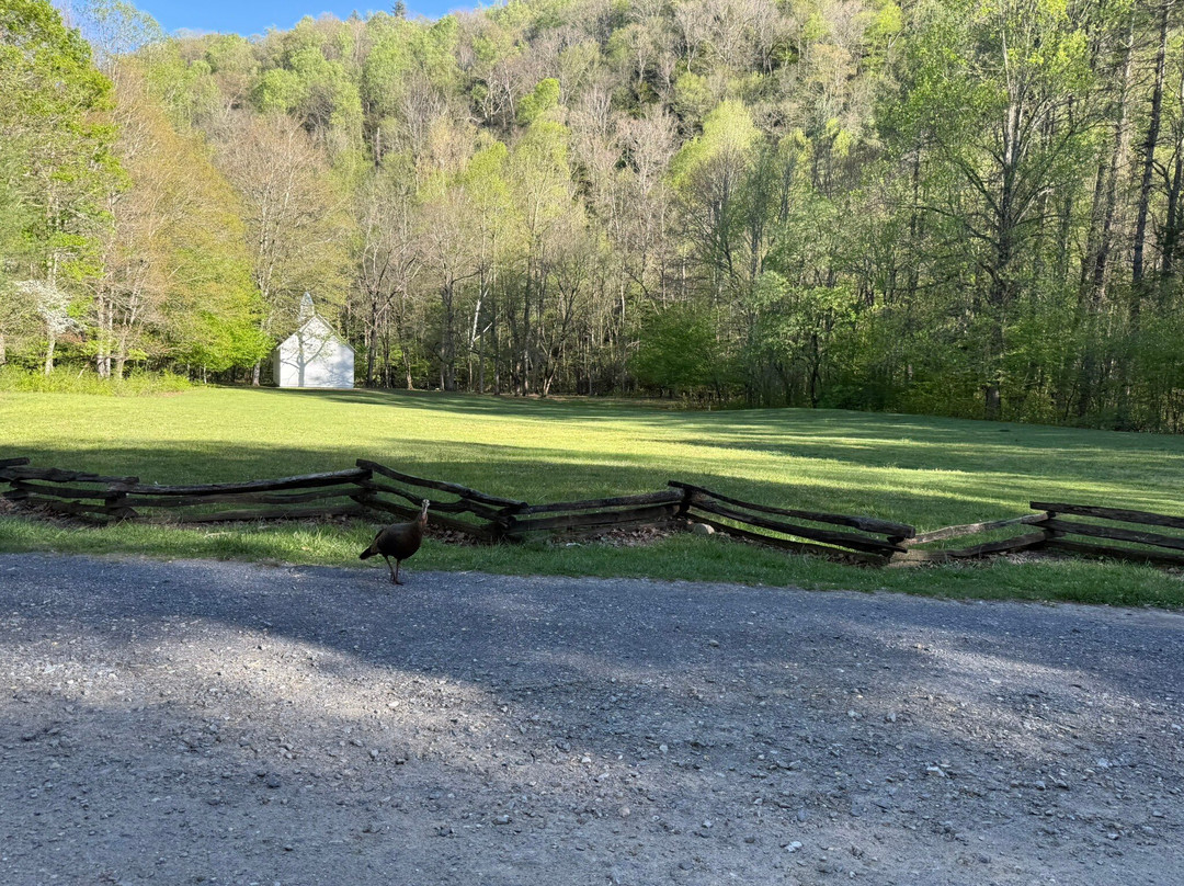 Cataloochee Valley-大雾山国家公园必去景点