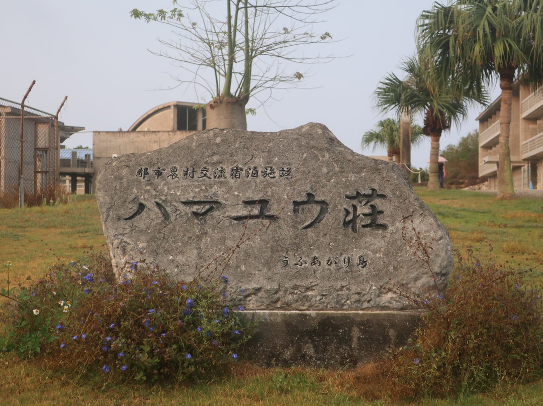 Hamayuso Ufuagarito主图