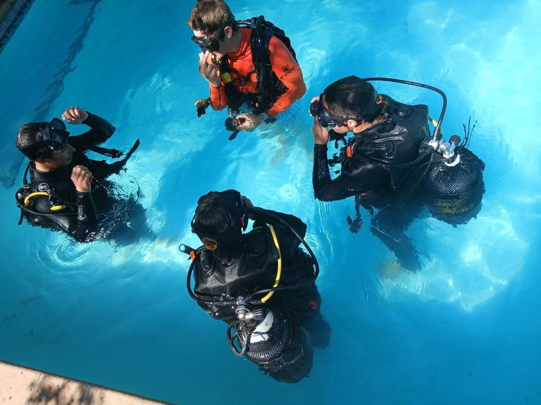 Pisces Diving Sodwana Bay-索德瓦纳必去景点