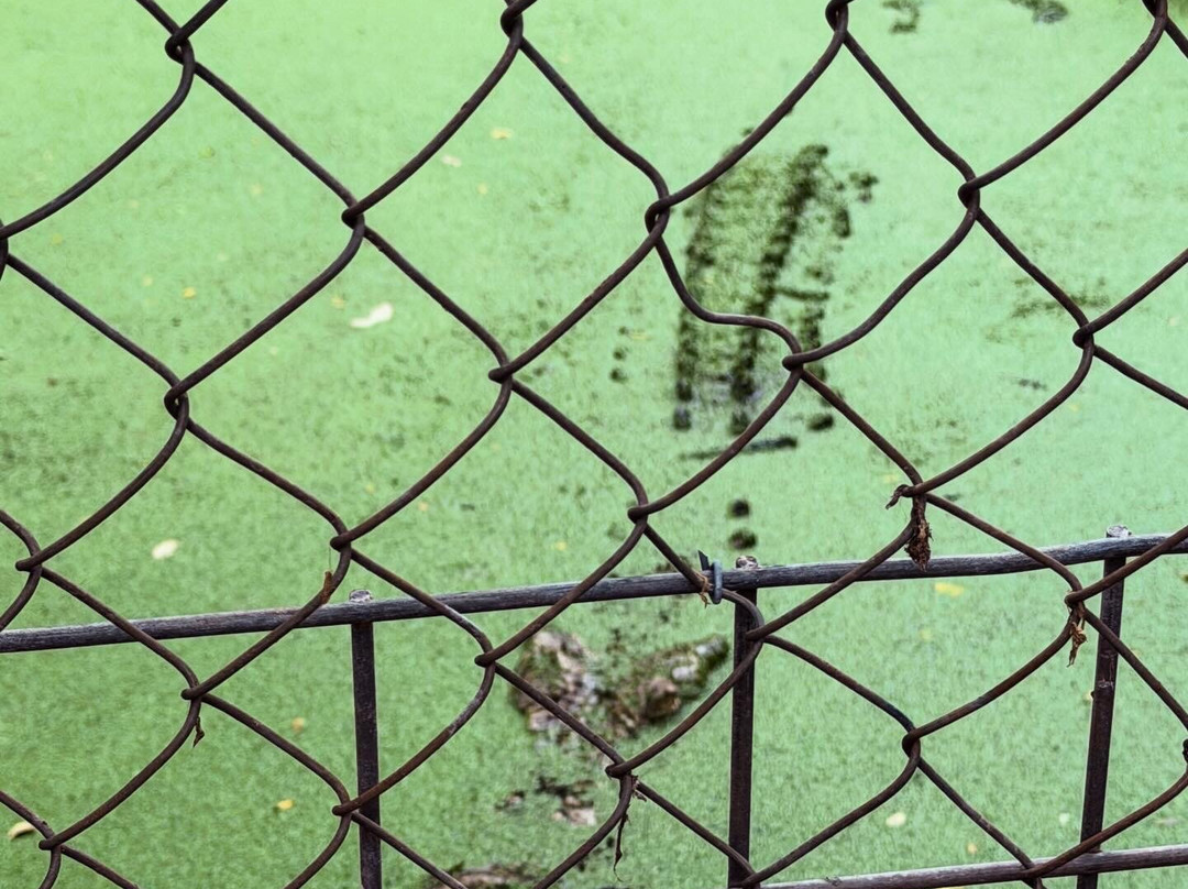 Malcolm Douglas Broome Crocodile Park-布鲁姆必去景点