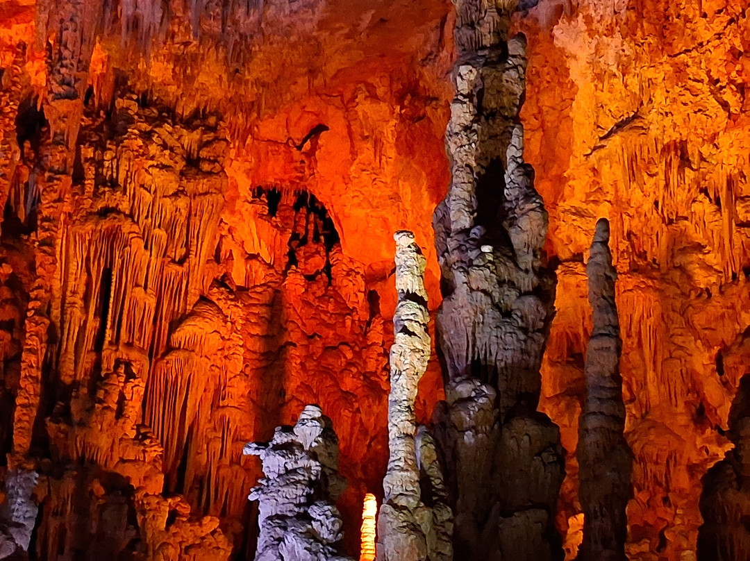 Grotte de la Salamandre-Mejannes-le-Clap必去景点