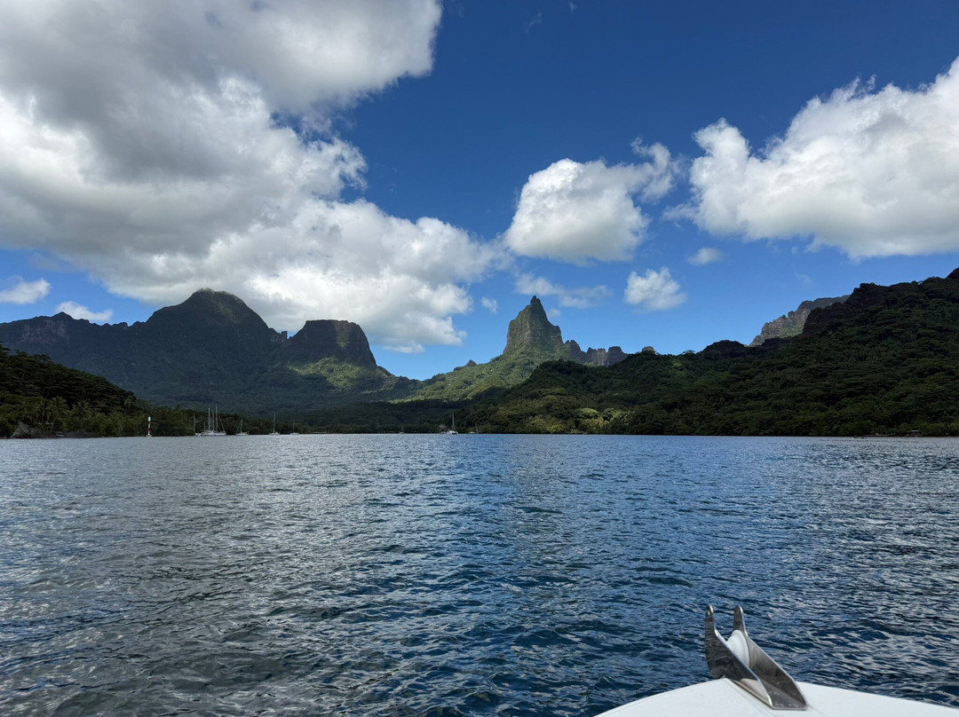 Moorea Parasailing-莫雷阿岛必去景点