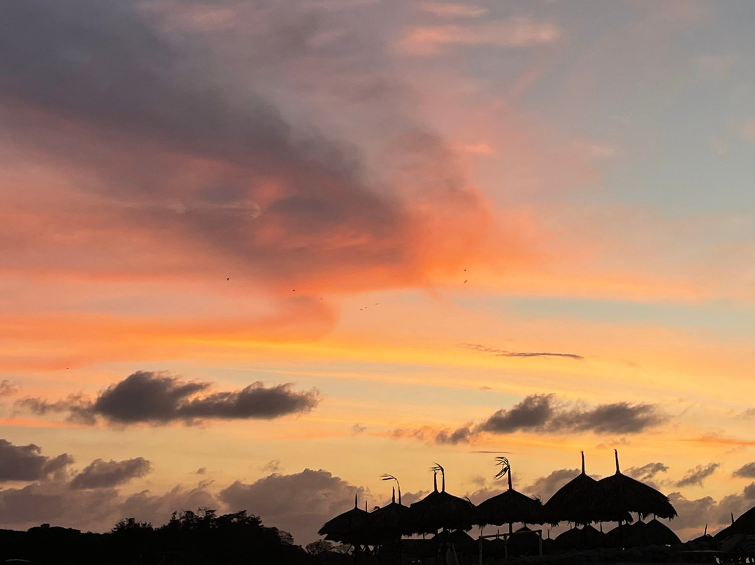 Hotel Isla Palma Reserva Natural主图