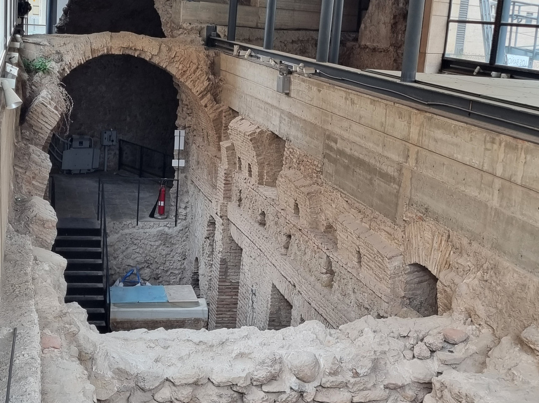 Museo Arqueologico los Baños-Alhama de Murcia必去景点