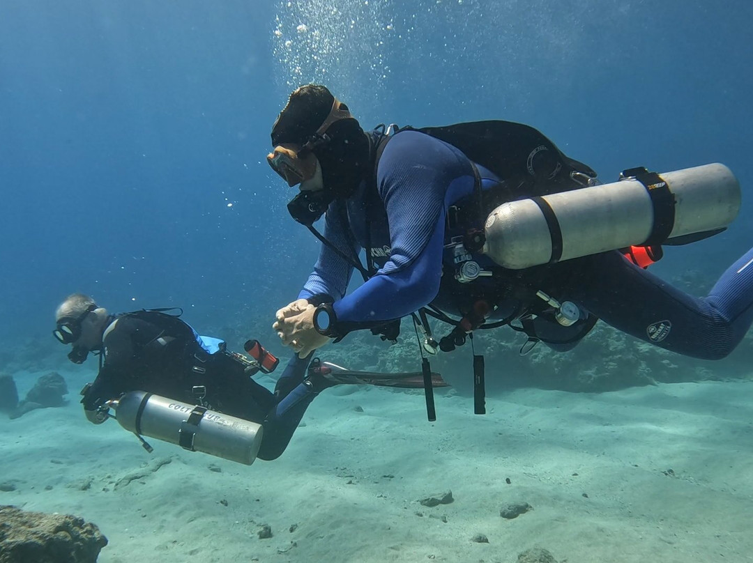 Orca Dive Club - Pereybere-Pereybere必去景点