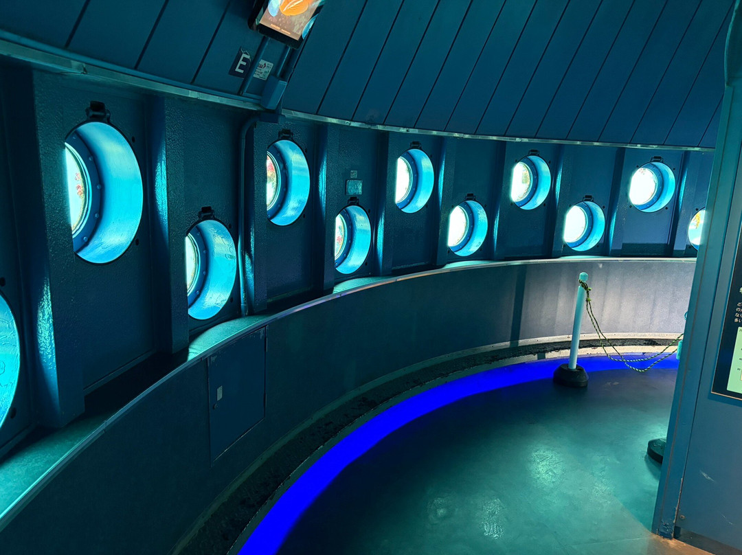 Kushimoto Marine Park Undersea Tower-串本町必去景点