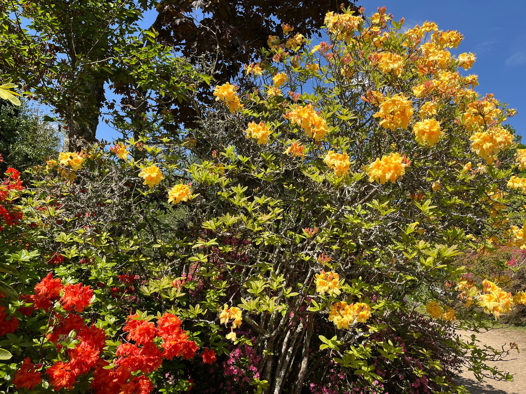 Parc Botanique de Cornouaille-孔布里必去景点