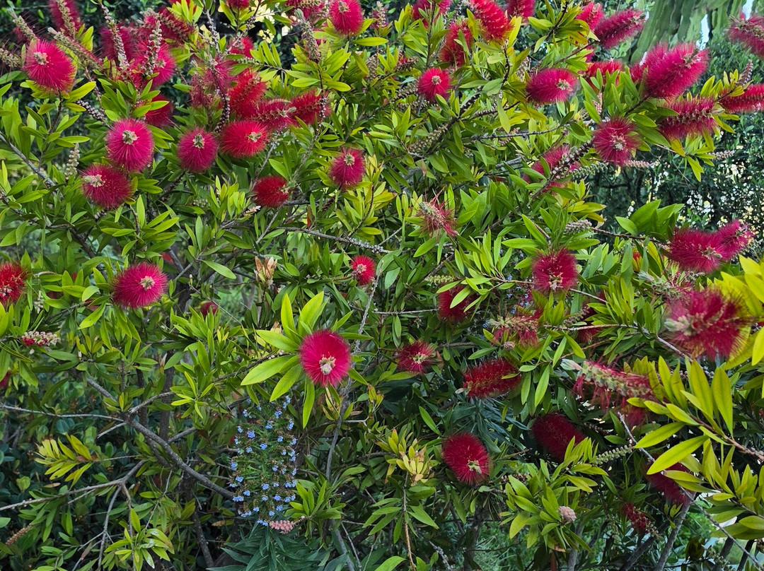 Les Jardins Saint Martin et Sainte Barbe-摩纳哥城必去景点