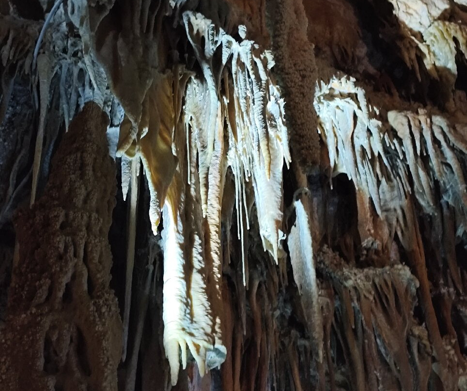 Grotta del Trullo-Putignano必去景点