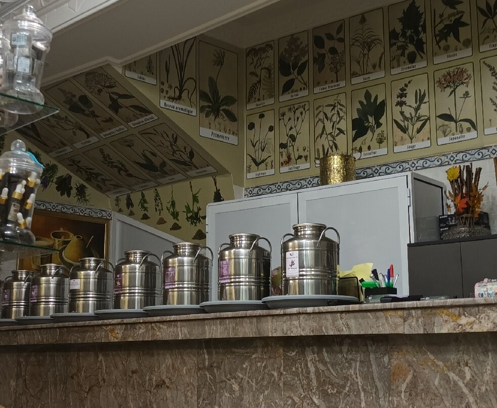 Herbal Medina Center-丹吉尔必去景点