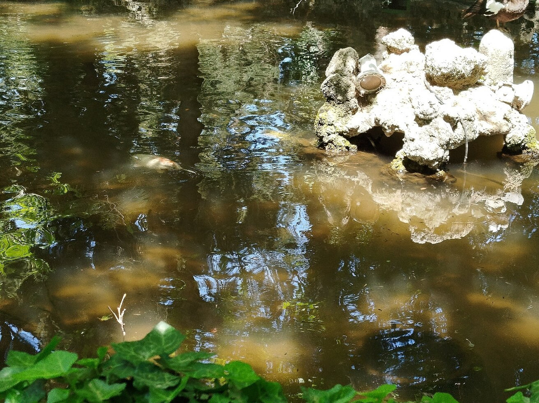 Rodini Park-罗德斯必去景点