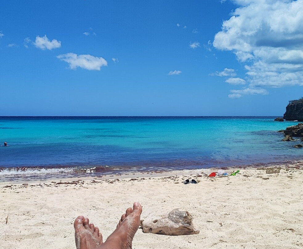 Daaibooi Beach-Sint Willibrordus必去景点