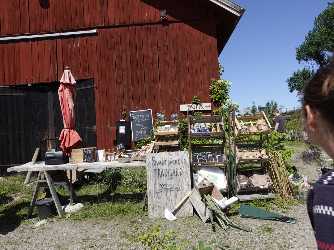 Svartbäckens Trädgård-Orsundsbro必去景点