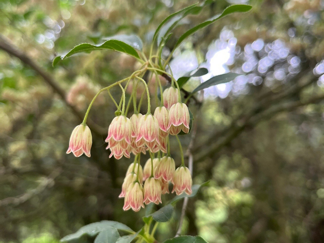 Arboretum Robert Lenoir-Rendeux必去景点