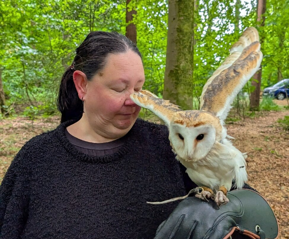 Hampshire Hawk Walks-Four Marks必去景点