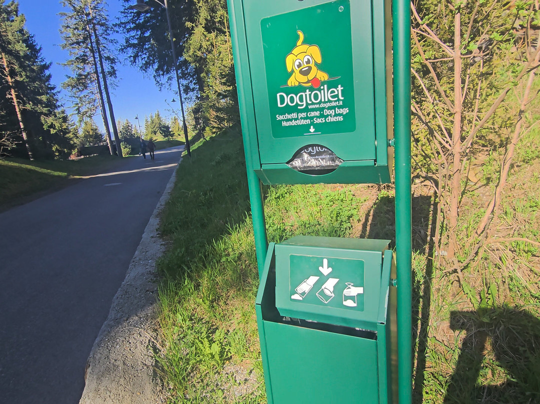 福雷斯蒂斯酒店Forestis Dolomites（意大利）主图