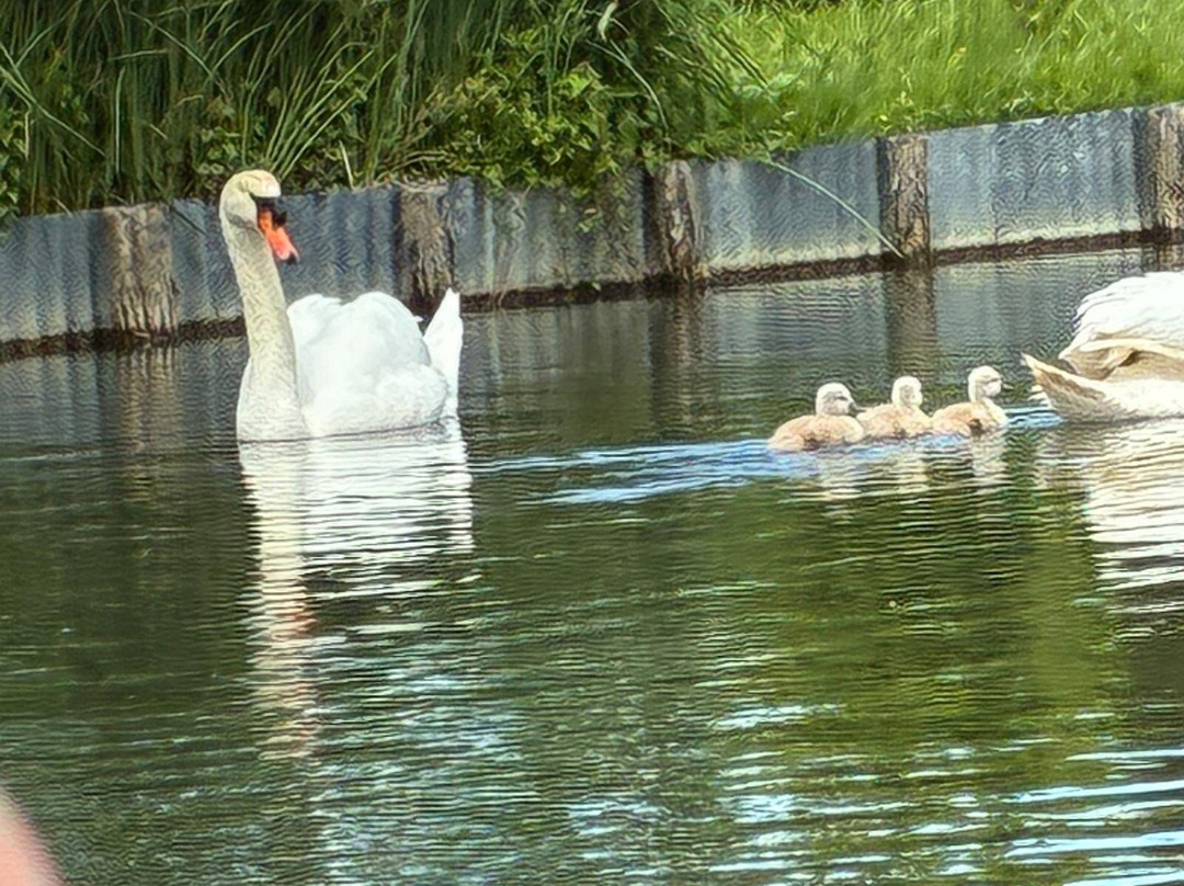 Le Marais de Bourges-布尔日必去景点