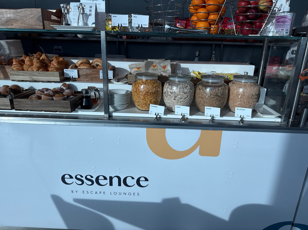 Escape Lounges - London Stansted Airport-斯坦斯特德芒特菲奇特必去景点