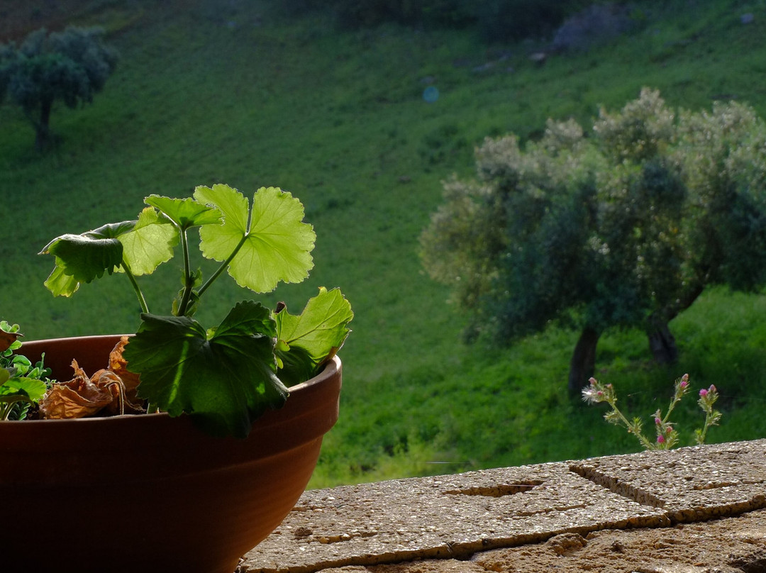 Agriturismo Abini