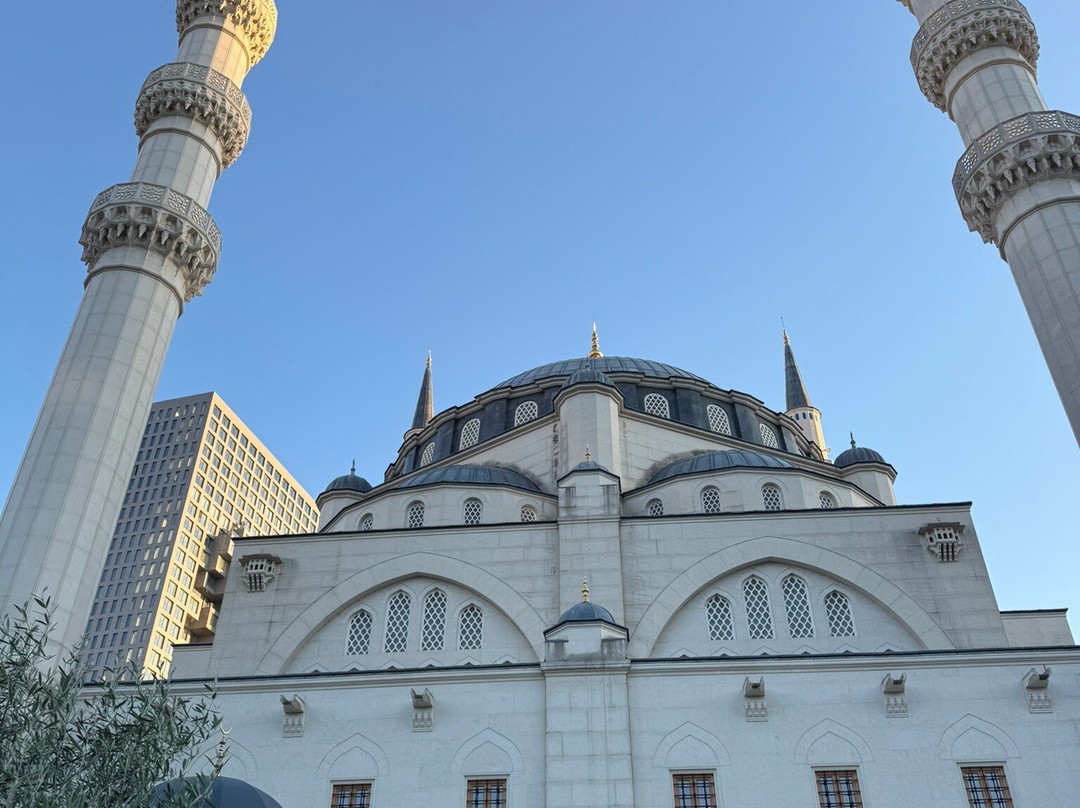 Great mosque of Tirana-地拉那必去景点