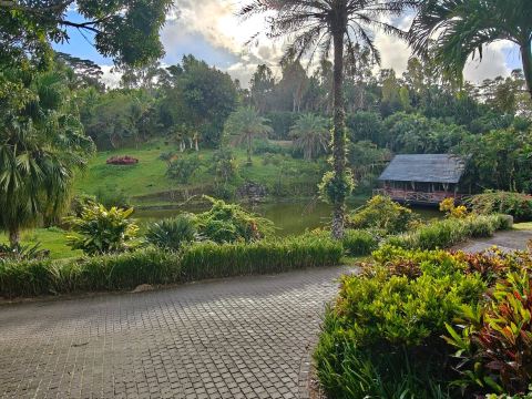 哈马专享洛奇酒店-旅行者