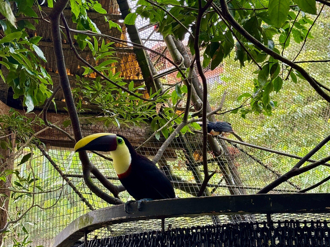 Waking Dreams Costa Rica-圣何塞必去景点