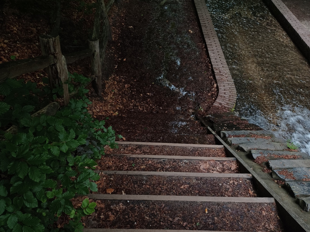 Loenense waterval-Loenen必去景点