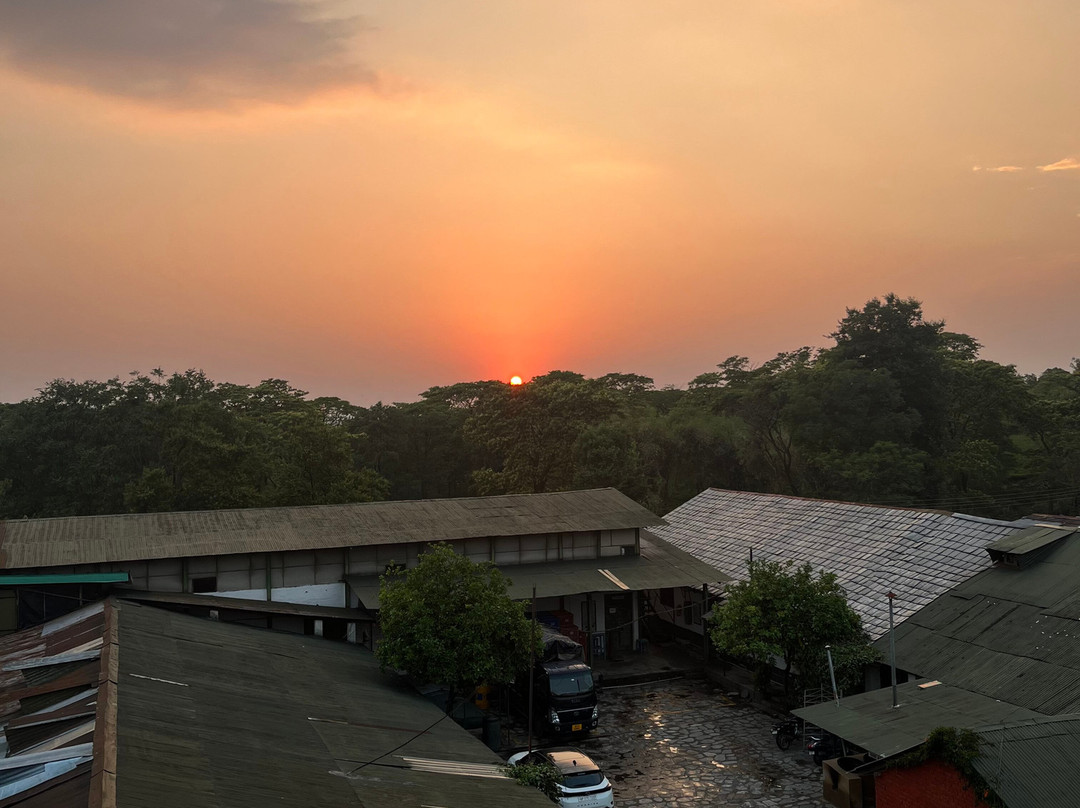 The Lodge at Wah, Palampur主图