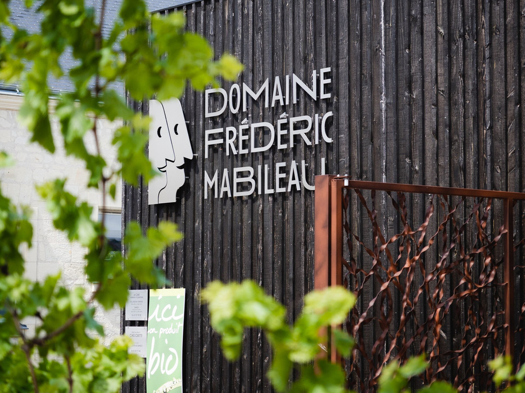 Maison Frédéric Mabileau-Saint Nicolas de Bourgueil必去景点