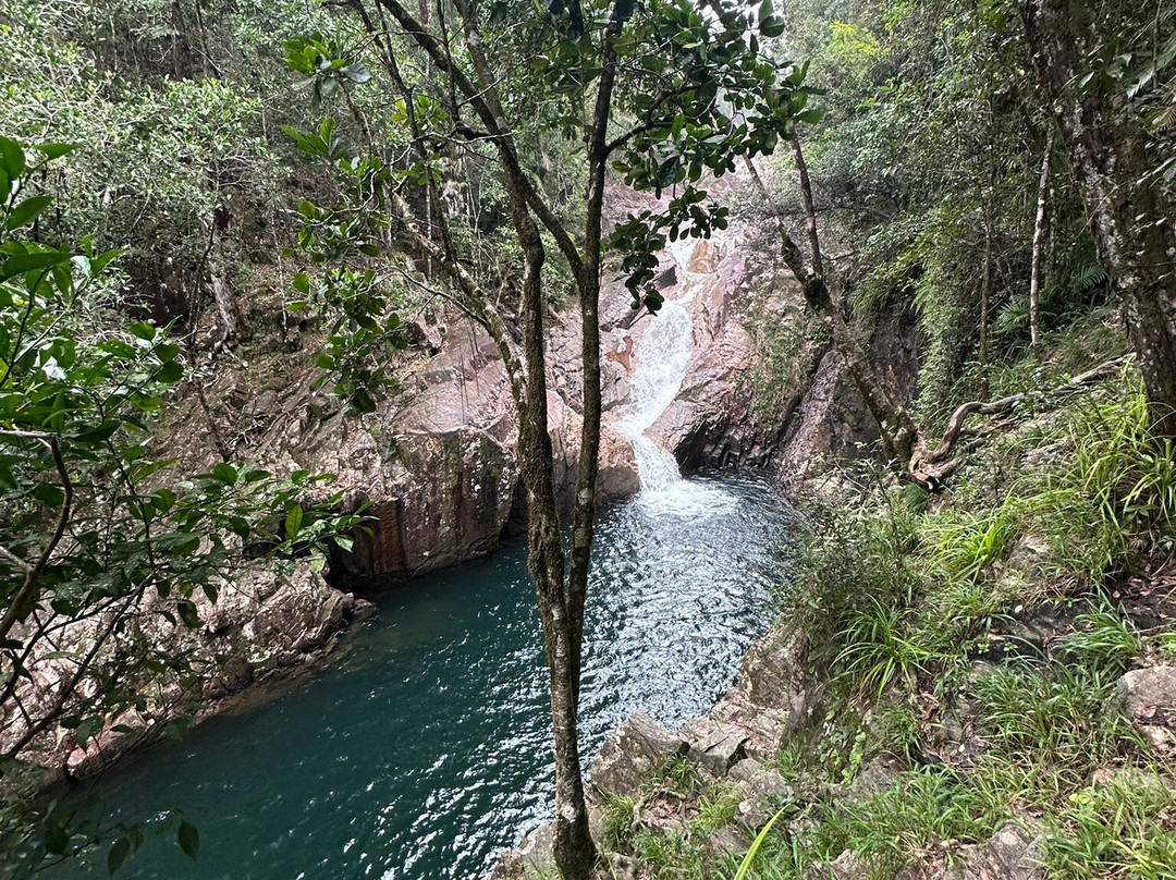 Finch Hatton Gorge-Finch Hatton必去景点