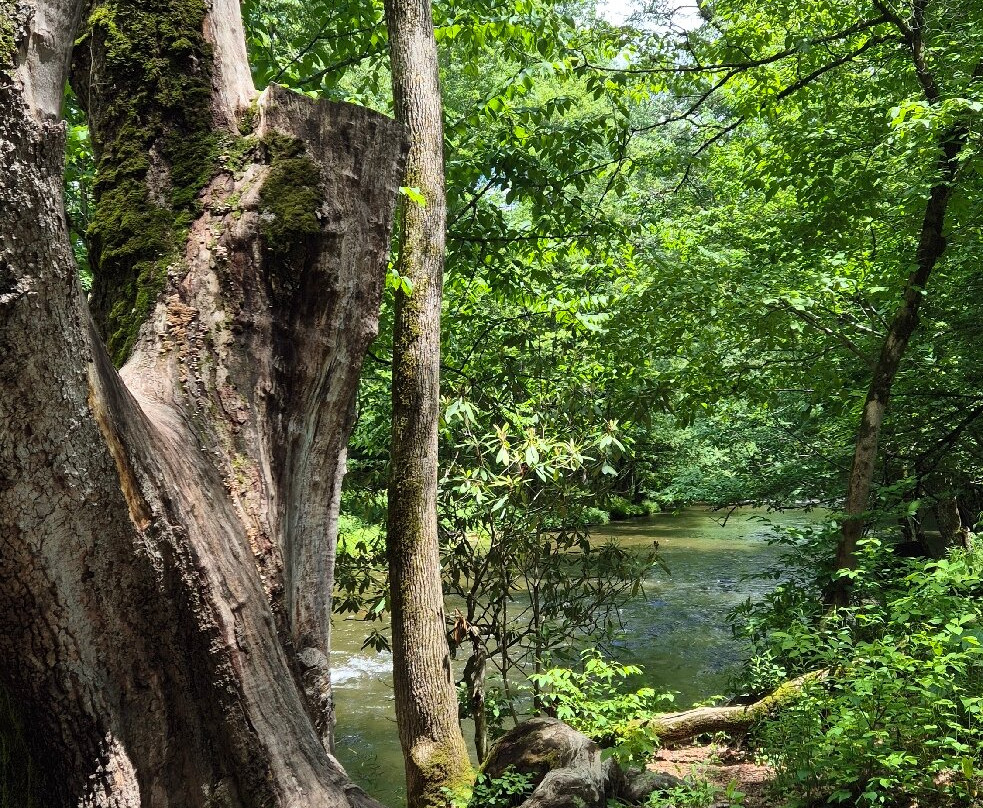 Cherokee Welcome Center-切罗基必去景点