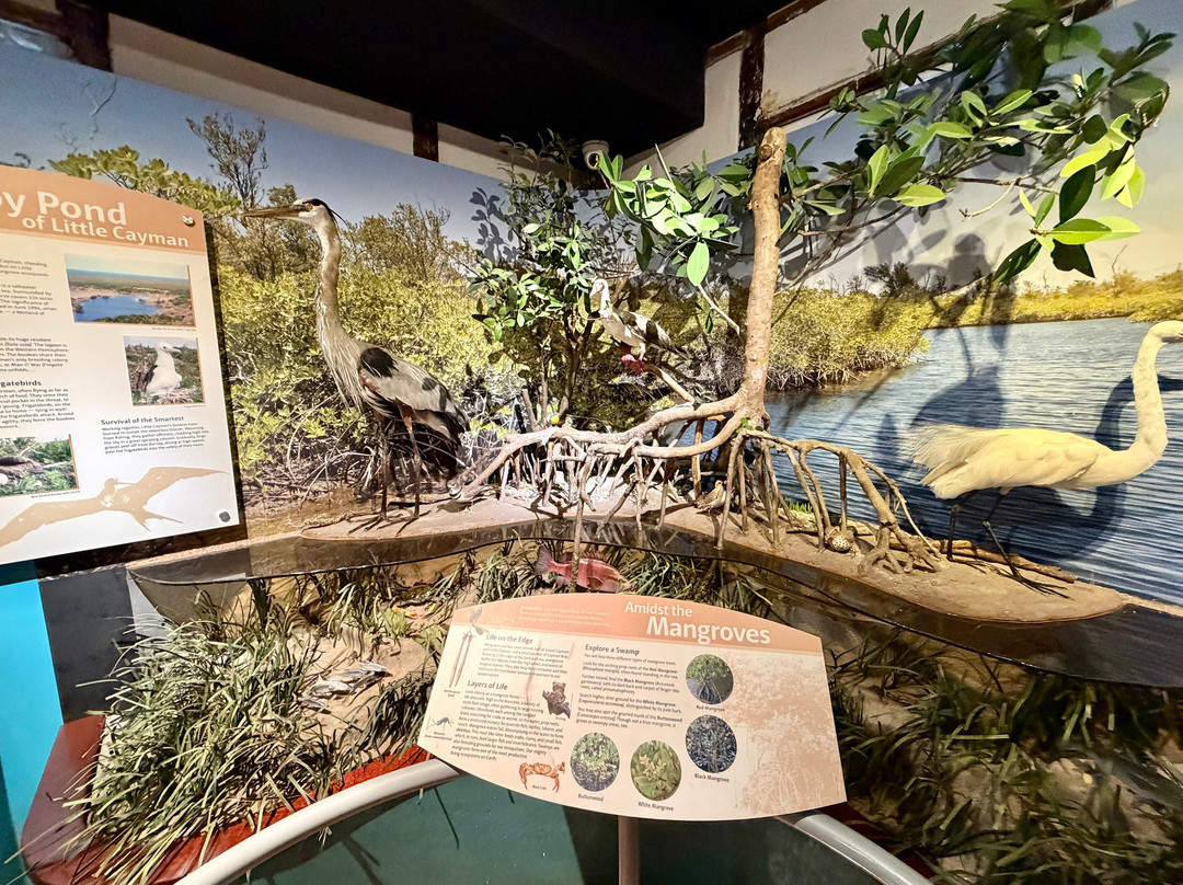 Cayman Islands National Museum-乔治城必去景点