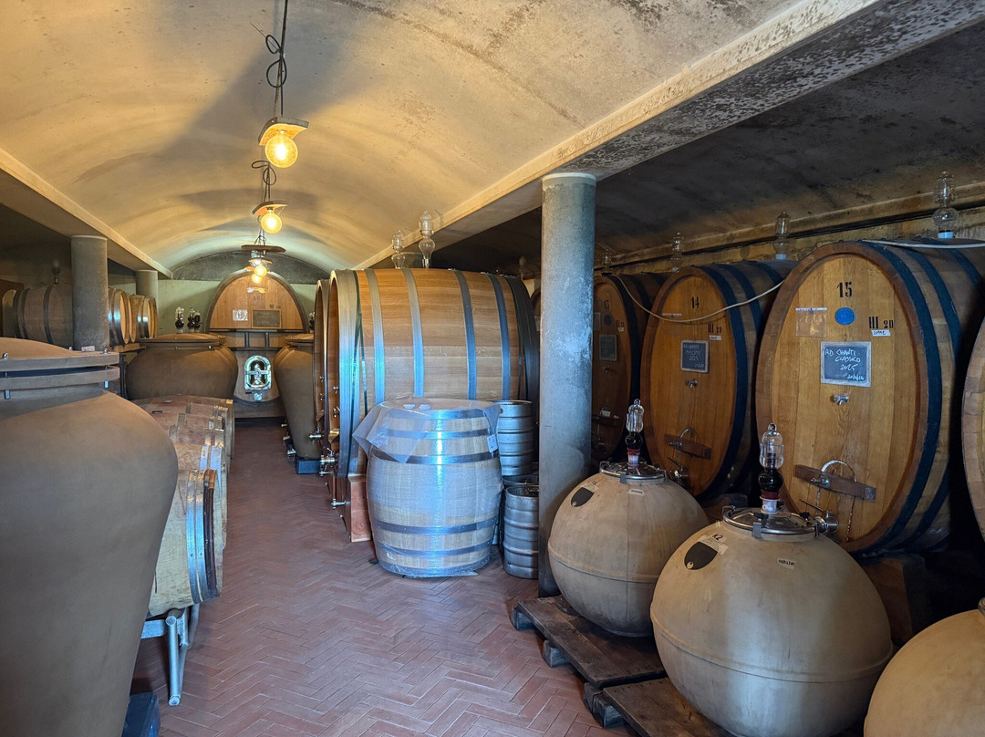 Podere Le Cinciole-Panzano in Chianti必去景点