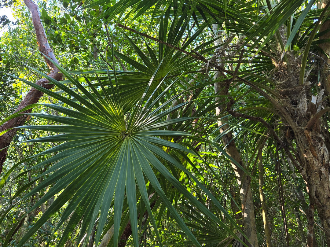 Windley Key Fossil Reef Geological State Park-伊斯拉摩拉达必去景点