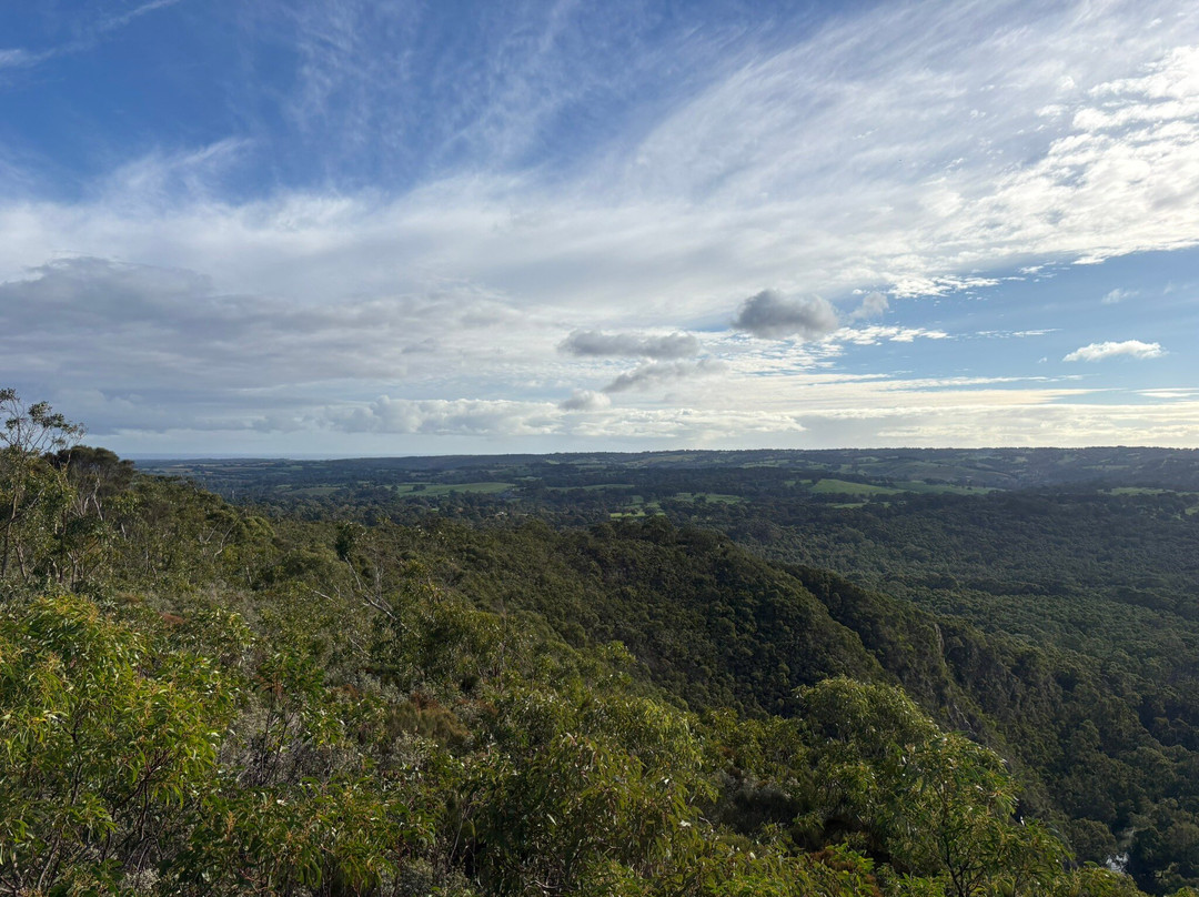 Mount Bold Reservoir-Kangarilla必去景点