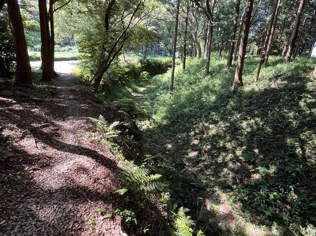Suwahara Castle Remains-岛田市必去景点