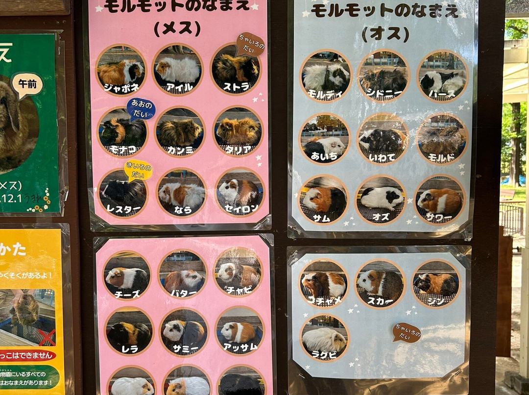 Osaki Park-埼玉市必去景点