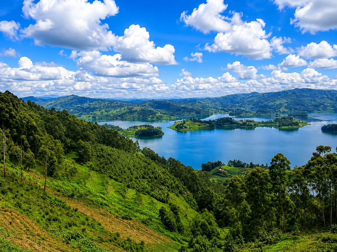 Lake Bunyonyi View Lodge