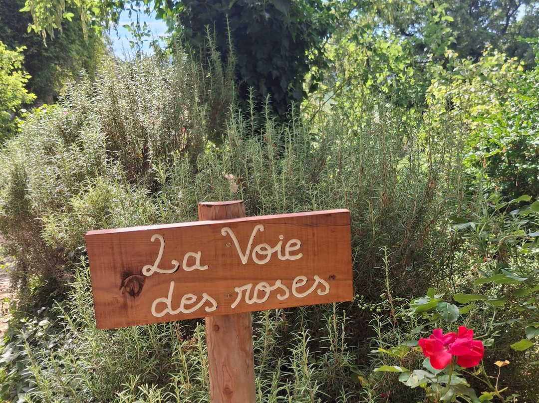 Jardin de l'Abbaye de Valsaintes-西米昂拉-罗通德必去景点