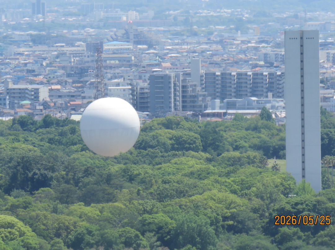 Sakai City Hall Observatory 21st Flour-坂井市必去景点
