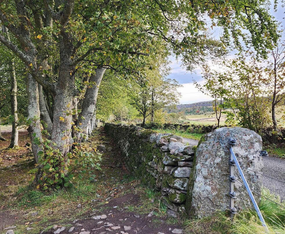Clava Cairns-苏格兰高地必去景点