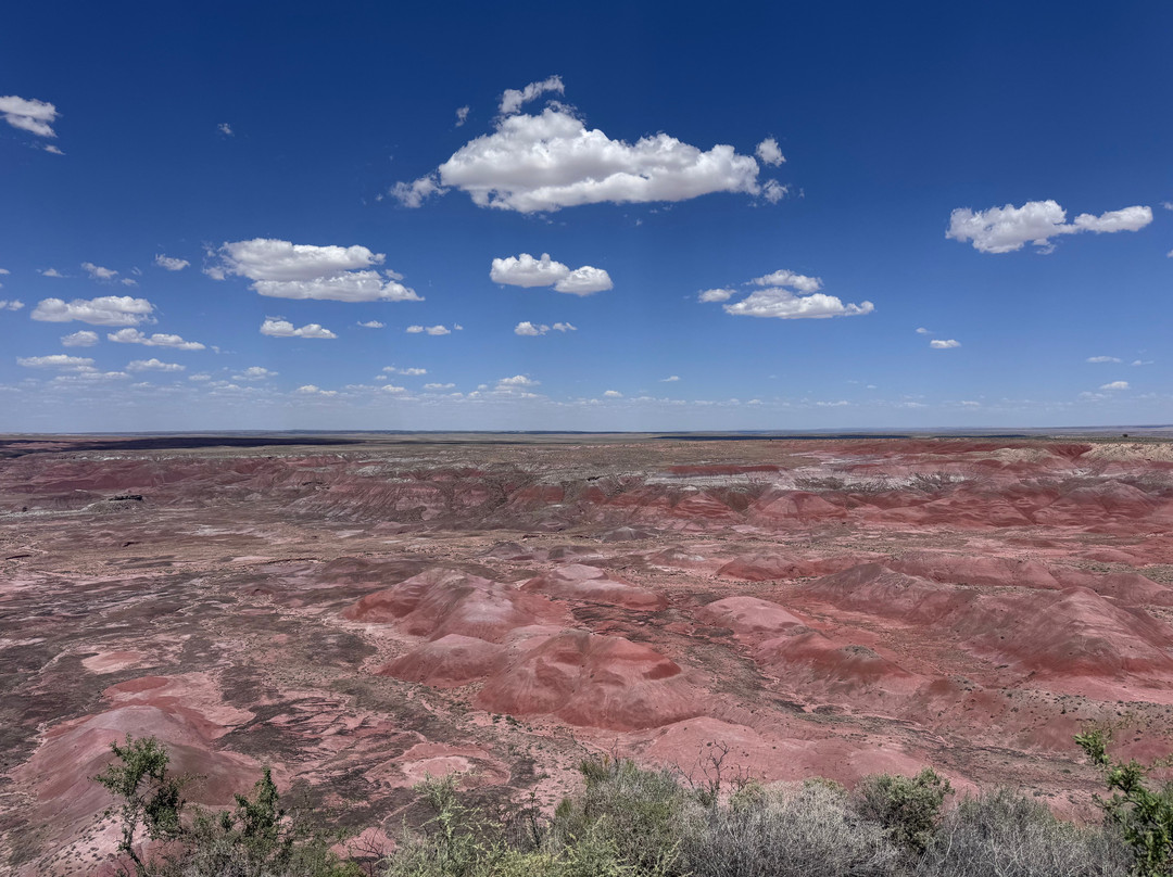 Painted Desert-石化林国家公园必去景点