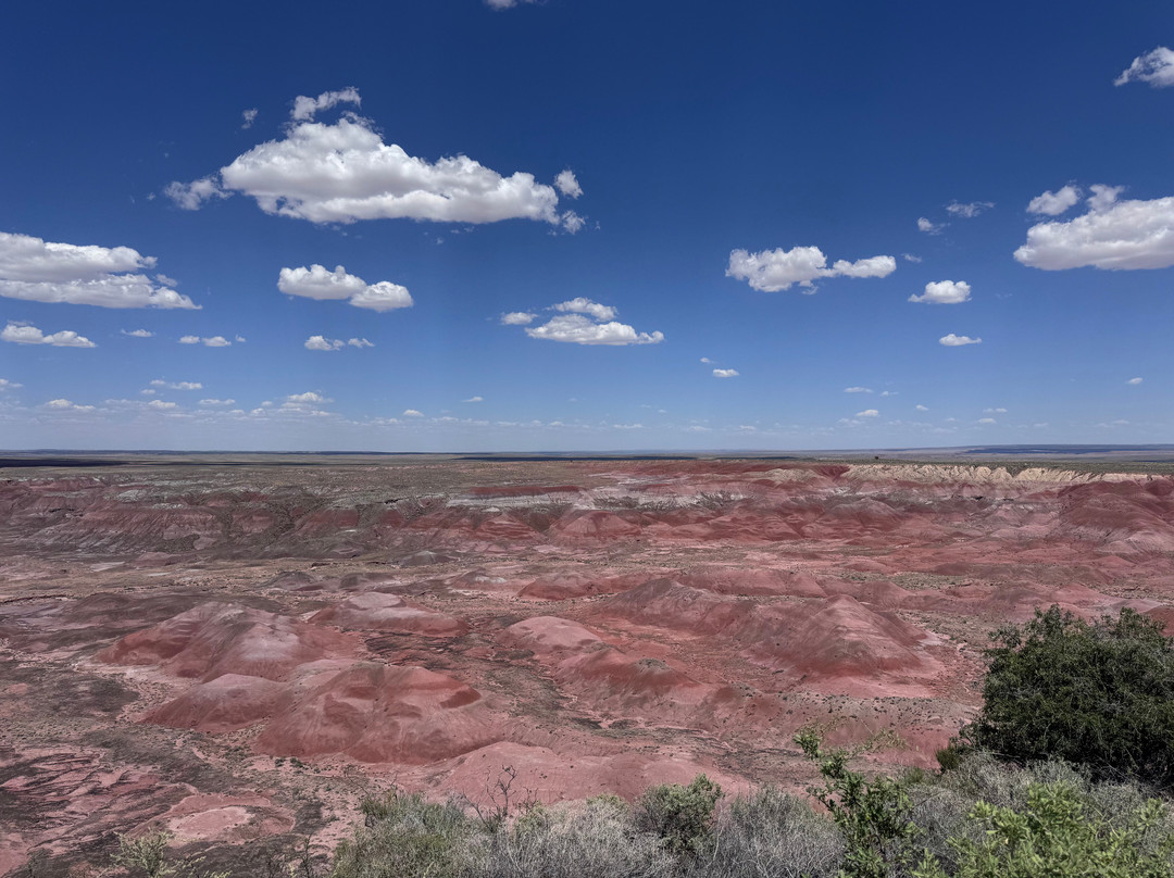 Painted Desert-石化林国家公园必去景点
