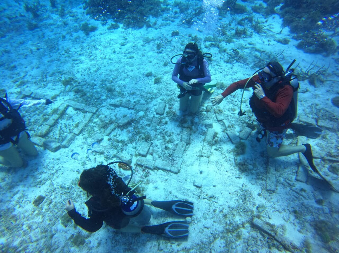 Blue Reef Divers-考祖梅必去景点