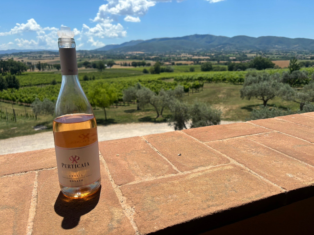 Azienda Agraria Perticaia-Montefalco必去景点